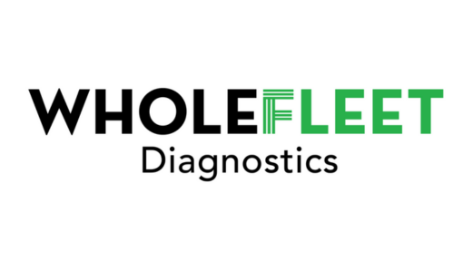 Logo for "WholeFleet Diagnostics" with “WHOLE” in bold black letters, “FLEET” in bold green letters, and “Diagnostics” in black below, all on a white background. The letter "F" in "FLEET" has horizontal green lines.